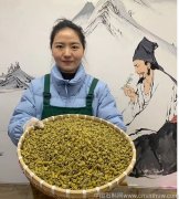 网上卖的石斛可信吗能买吗是真的吗能吃吗